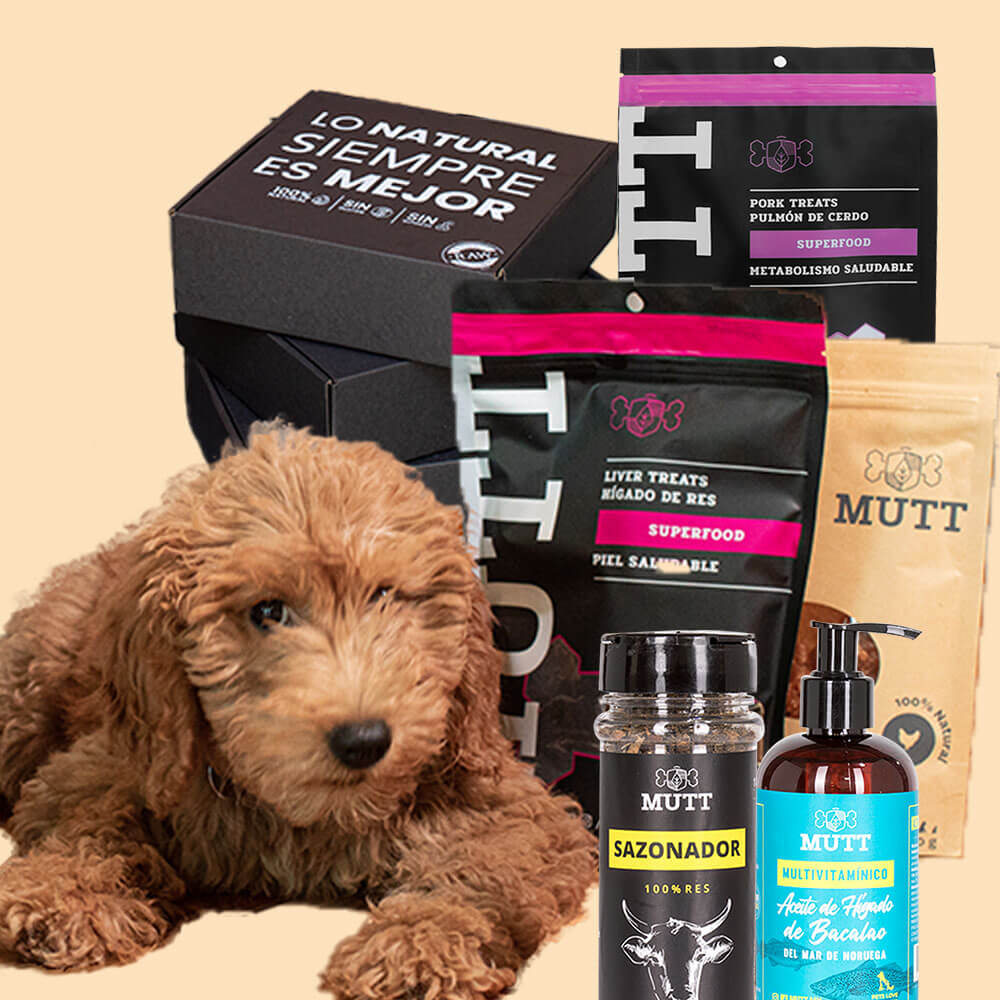 Kits – Mutt