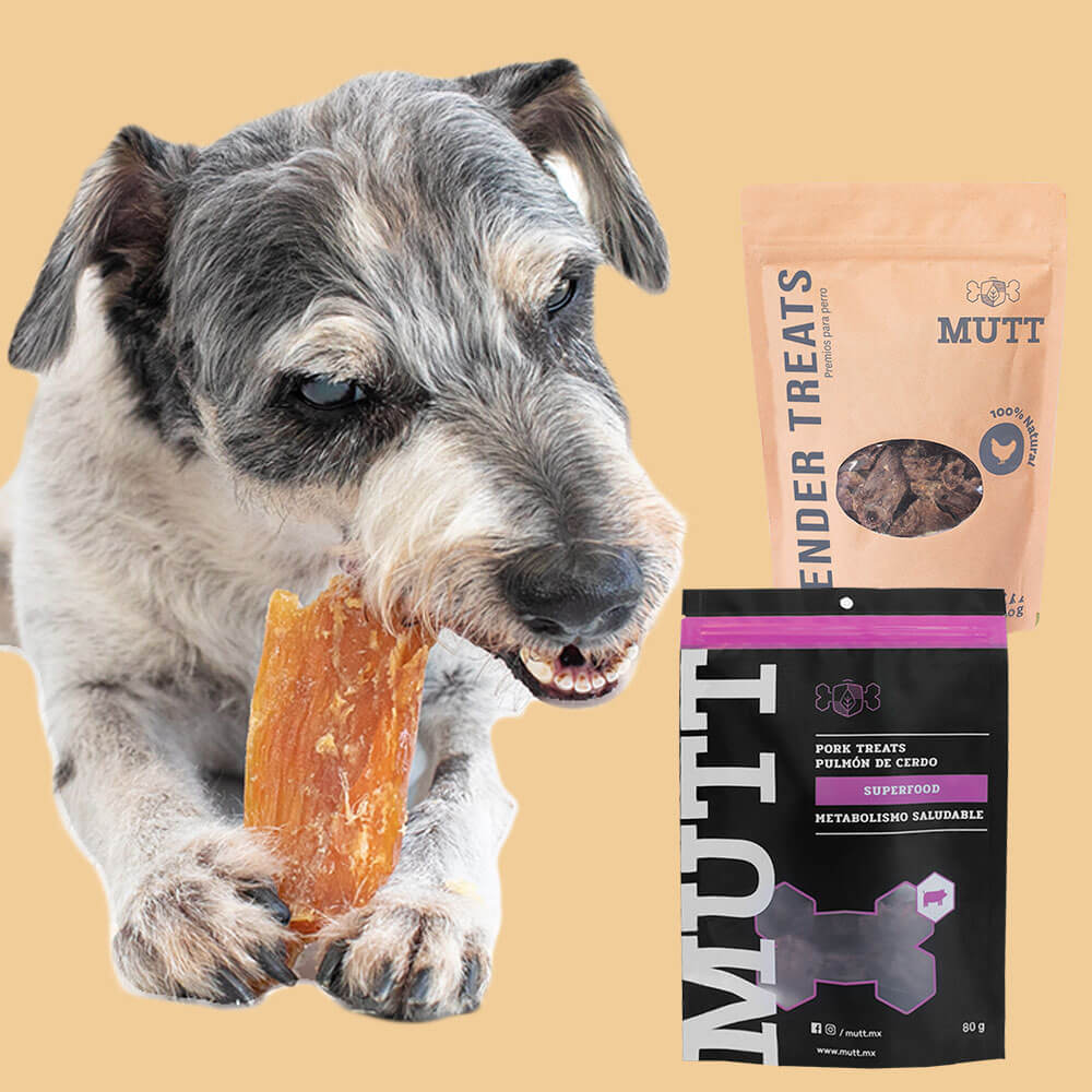 Tienda – Mutt