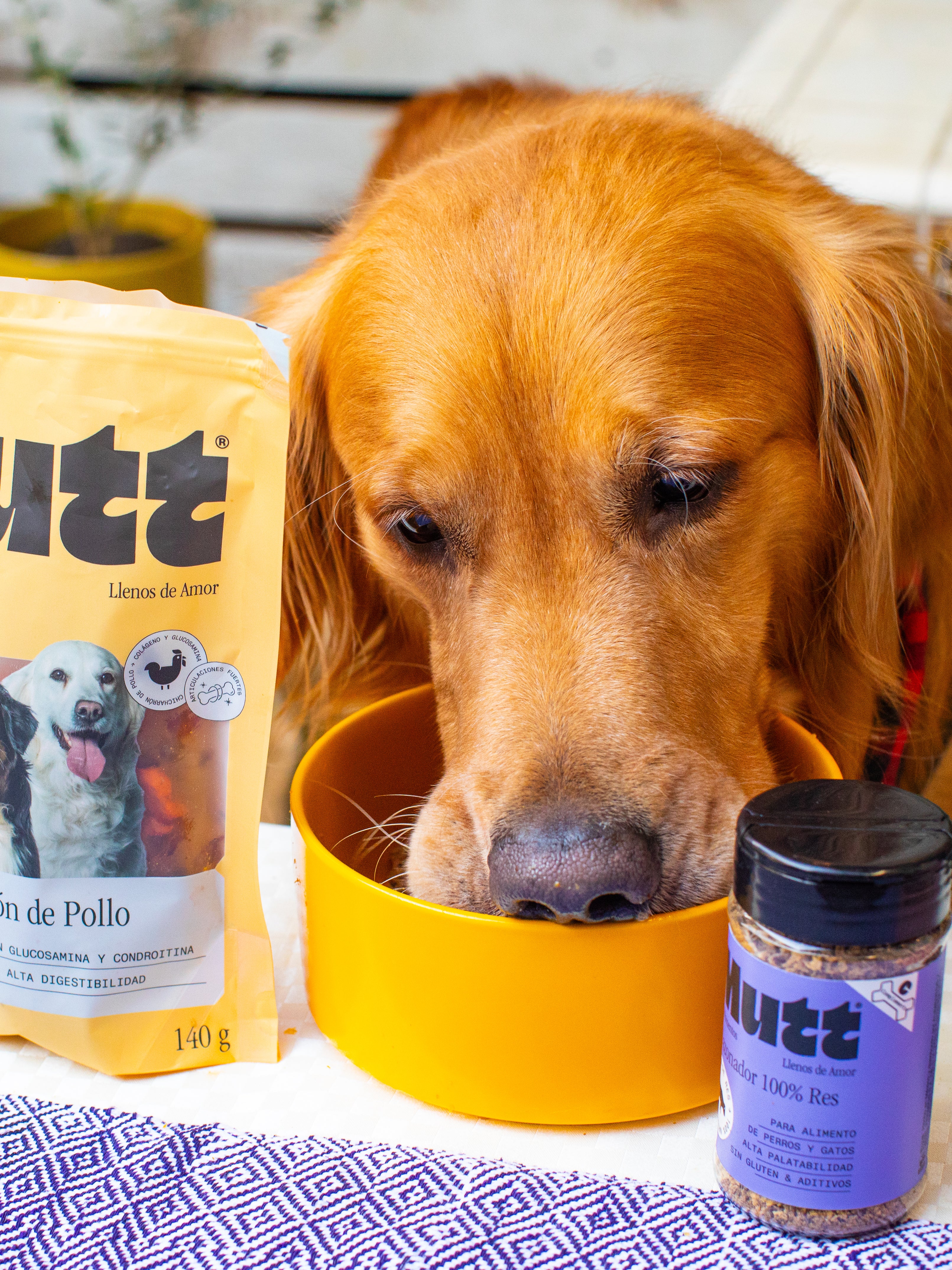 Pedidos especiales – Mutt