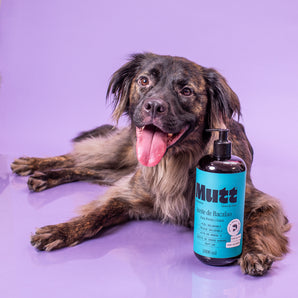 Aceite de Hígado de Bacalao - Salud Cardiaca