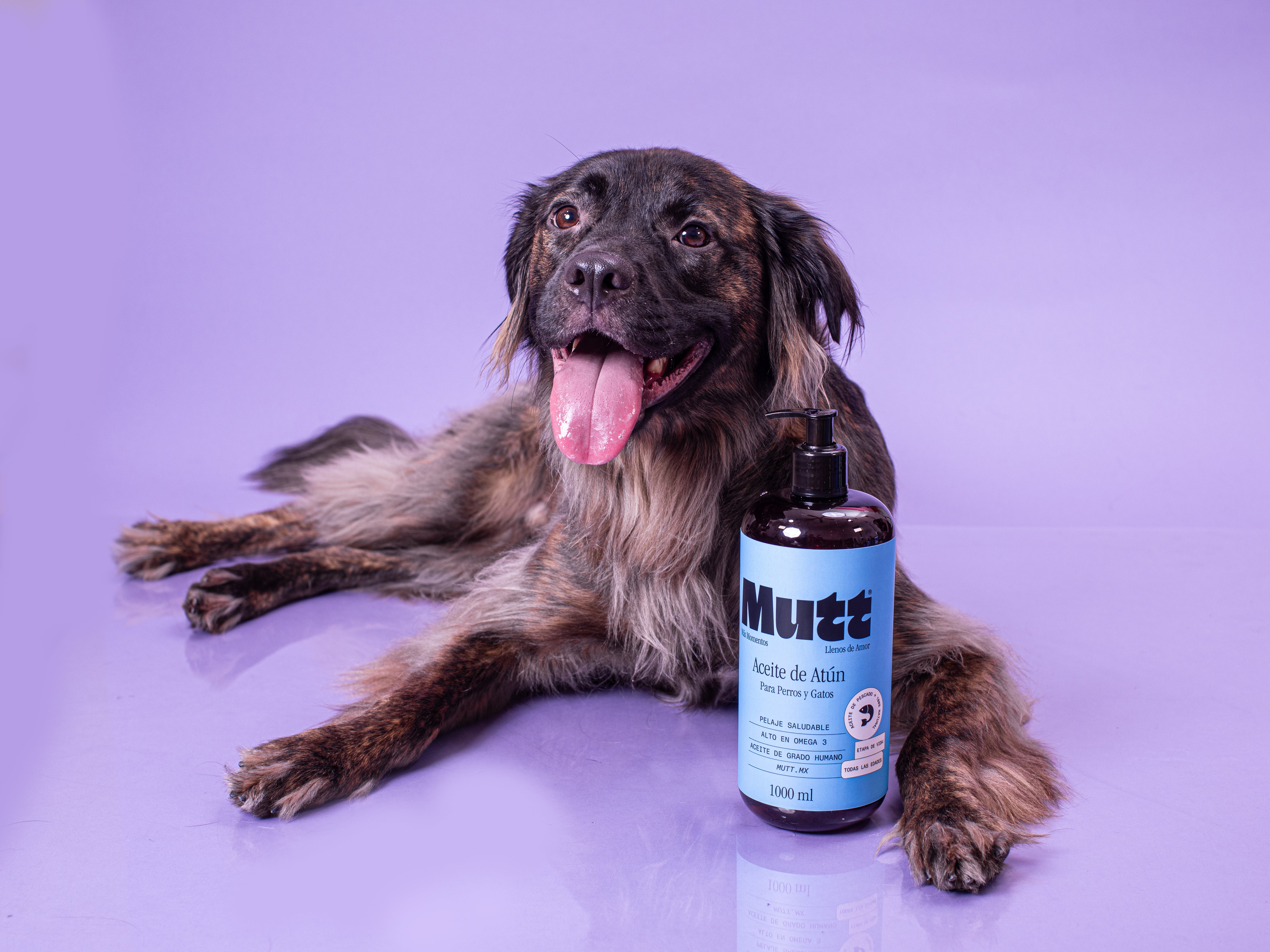 Pedidos especiales – Mutt