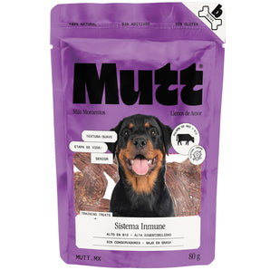 Pulmón de Res - Sistema Inmune
