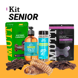 Kit Senior