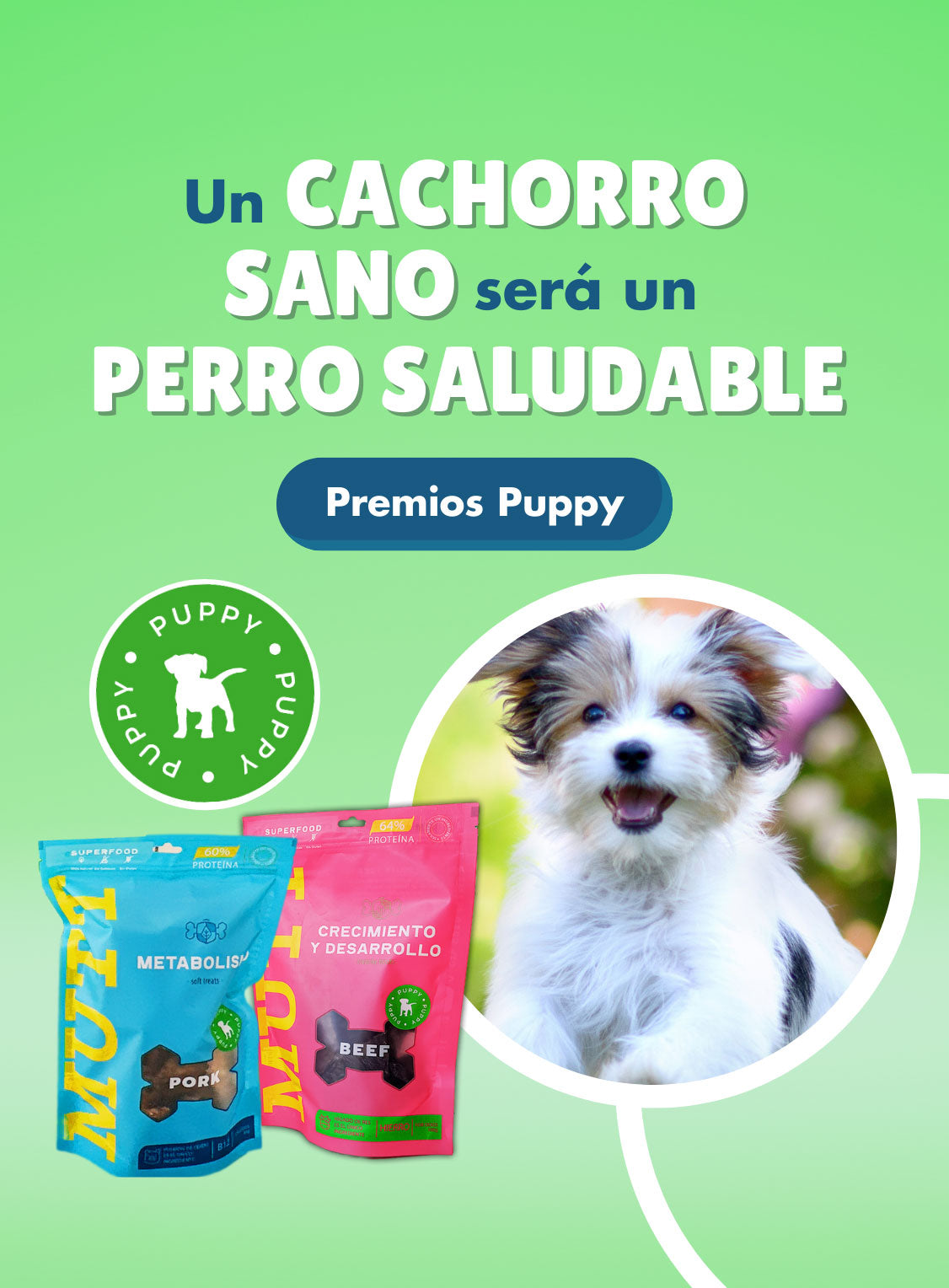 qué alimento para perros sin cereales es seguro